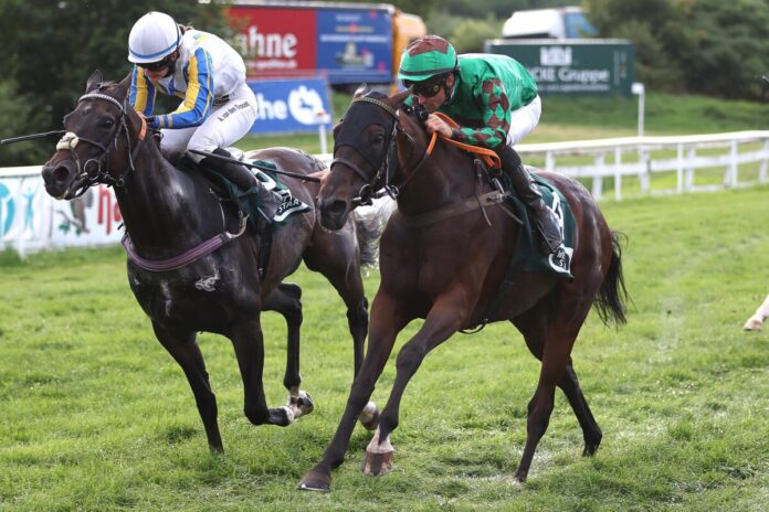 Go Girl Go siegt unter Rene Piechulek