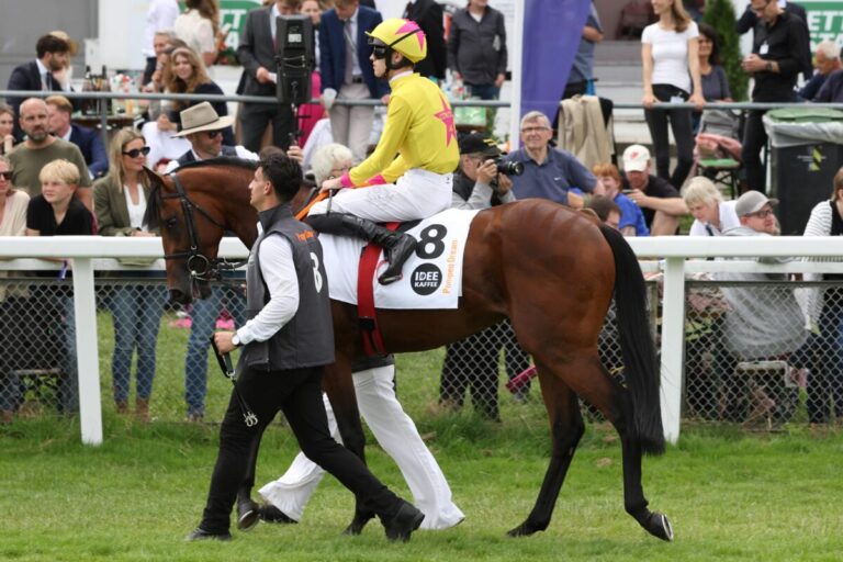 Gruppesieger und Derbystarter Pompeo Dream jetzt bei Grewe