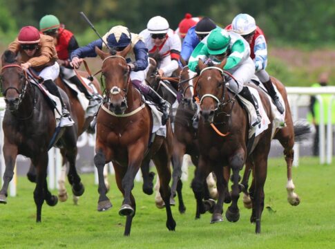 Hochkönig siegt unter Nina Baltromei im IDEE 156. Deutsches Derby
