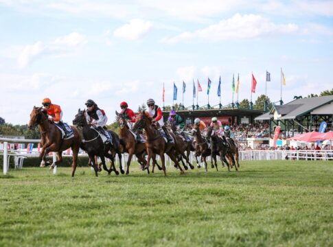 Galopp in Bad Harzburg