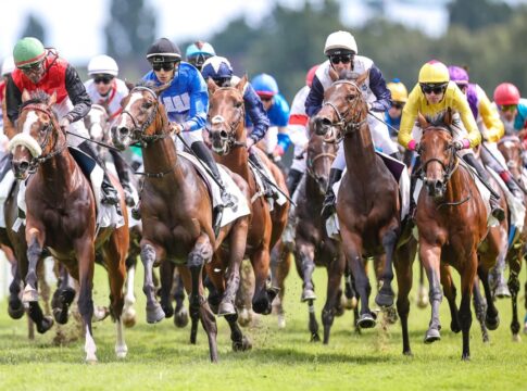 Das Starterfeld im 156. Deutsches Derby, Gr.1