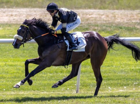 Innora siegt unter Thore Hammer-Hansen