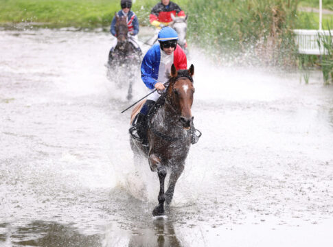 Innovante siegt unter Romain Lemiere im Seejagdrennen
