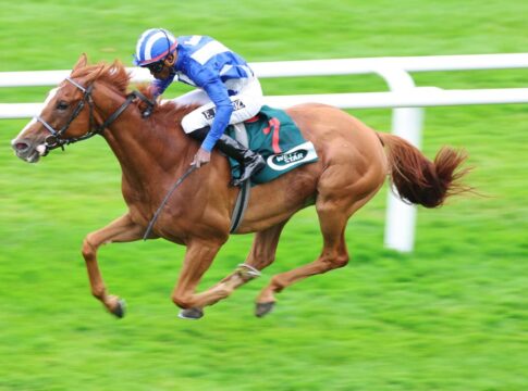 Northern Olympian siegt unter Eduardo Pedroza