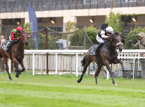 Son of England siegt unter David Liska