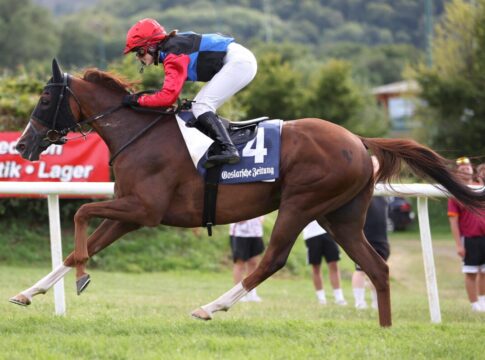 Statement siegt unter Marissa Potters