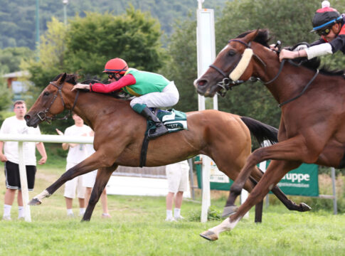 Summerwind siegt unter Matthew S. Johnson