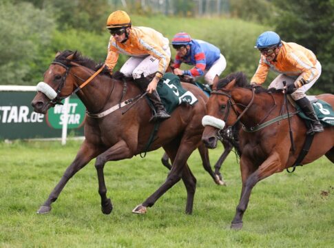 Tommorah siegt unter Robin Weber