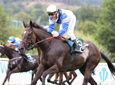 Vicente siegt unter Concetto Santangelo