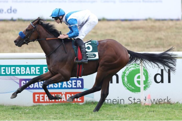 Voitton siegt unter Leon Wolff