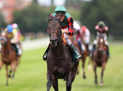 Windfang siegt unter Martin Seidl