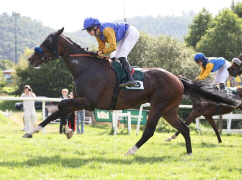 Warren Hill siegt unter Leon Wolff im BBAG-Auktionsrennen