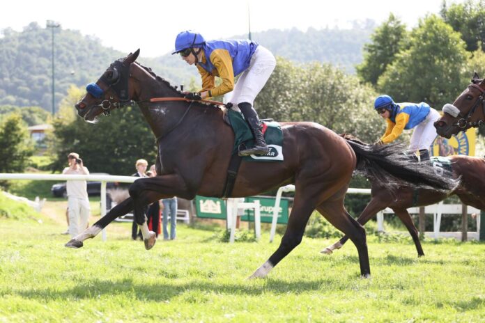 Warren Hill siegt unter Leon Wolff im BBAG-Auktionsrennen