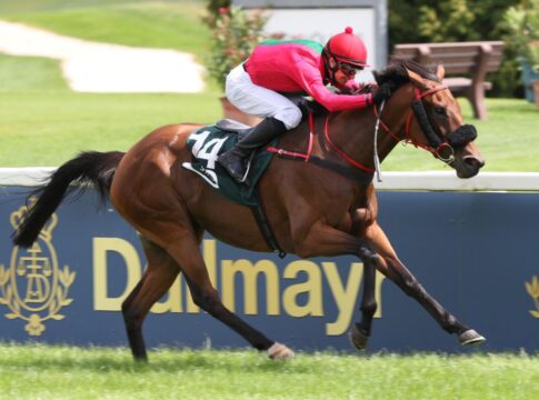 Picnic En Ville siegt