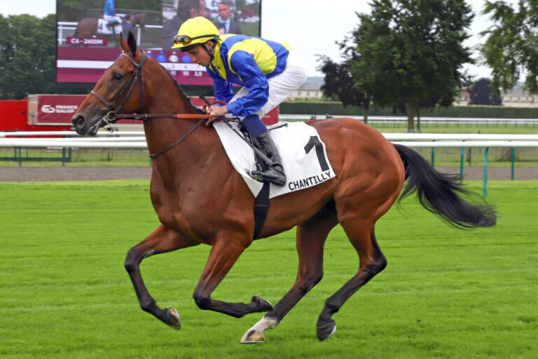 Graffard: „Goliath wird im Grossen Preis von Baden laufen“