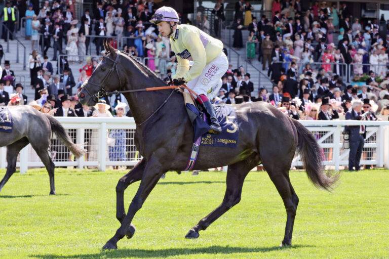 Lünzen-Stallion Waldgeist stellt Gruppesieger