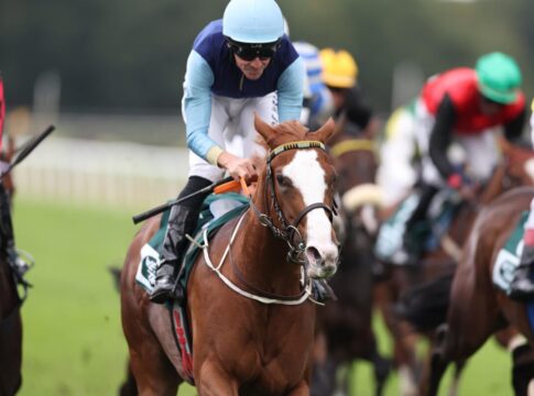 Calissa siegt unter Adrie de Vries