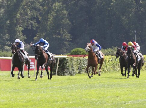 Cold Heart (3.v.li.) konnte sein GAG steigern