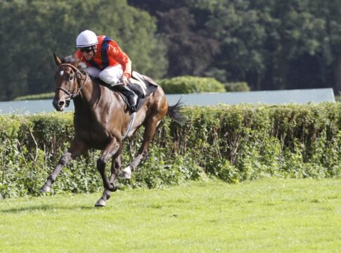 Danedream gewinnt den Großen Preis im Jahr 2011