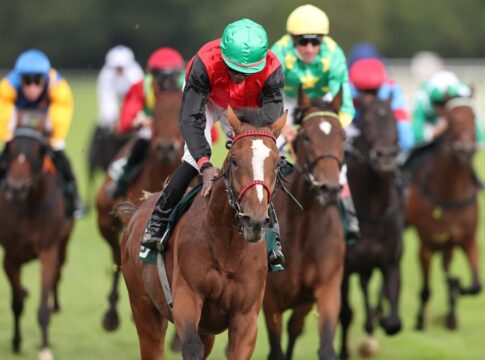 Delgardo siegt unter Eduardo Pedroza im Großer Preis des Audi Zentrum Hannover - BBAG Auktionsrennen