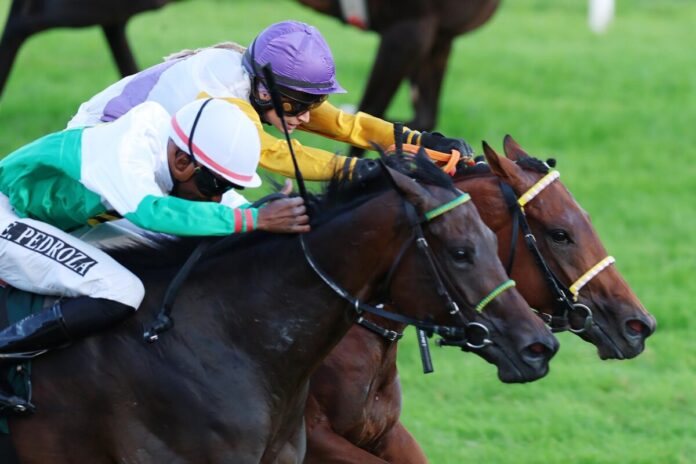 Dragon Magic siegt unter Nina Baltromei