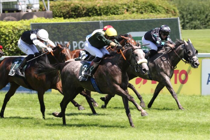 Emotion siegt unter Martin Seidl