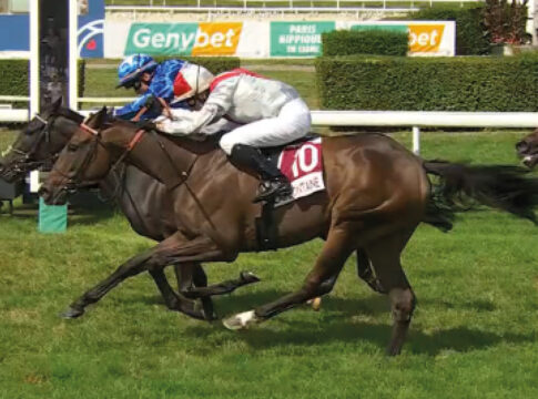 Gua Lipa (innen) Foto: Screenshot/Equidia