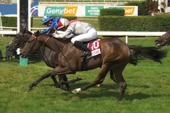 Gua Lipa (innen) Foto: Screenshot/Equidia