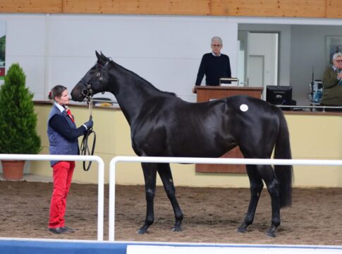 Auch 2025 heißt es wieder „Mit Vollblut in die Zukunft“