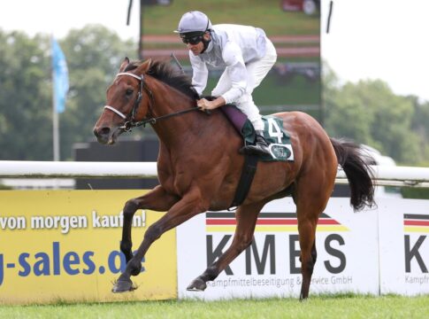 Karisoke siegt unter Adrie de Vries