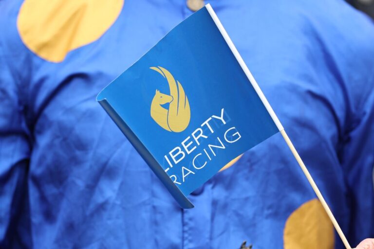 Gesagt, getan: Liberty Racing Platin kauft weiteres Pferd