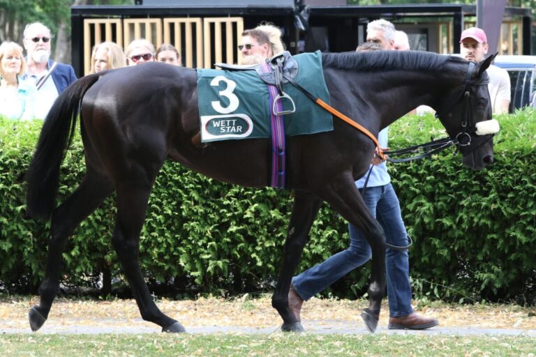 Einiges geboten am Samstag in Halle