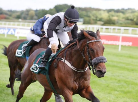 Mandy's Girl siegt unter Concetto Santangelo