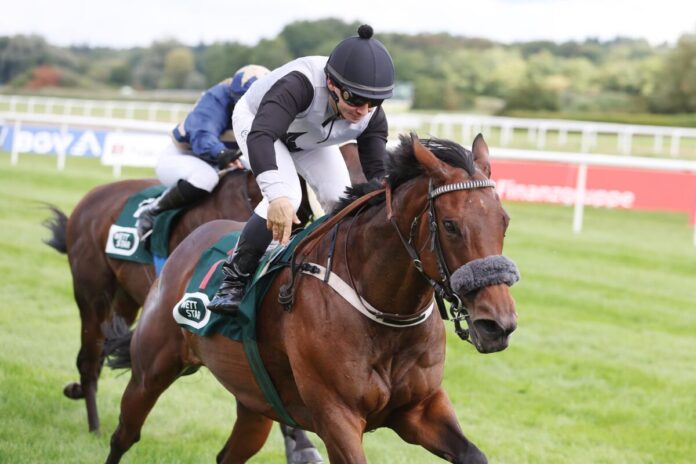 Mandy's Girl siegt unter Concetto Santangelo