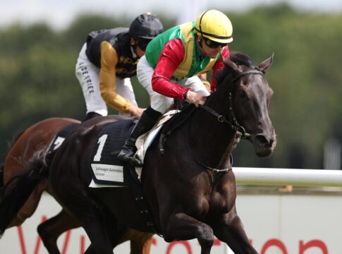 Nastaria siegt unter Jozef Bojko im Großer Preis von Volkswagen Automobile Hannover - Steher Stutenpreis, L.