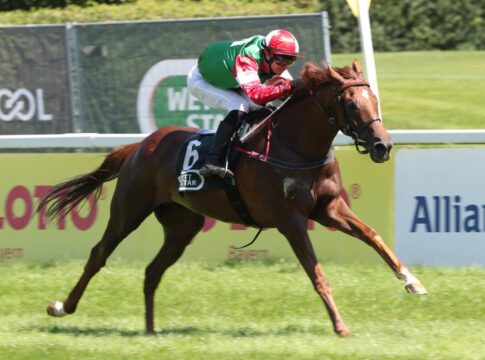 New Diamond siegt unter Miguel Lopez