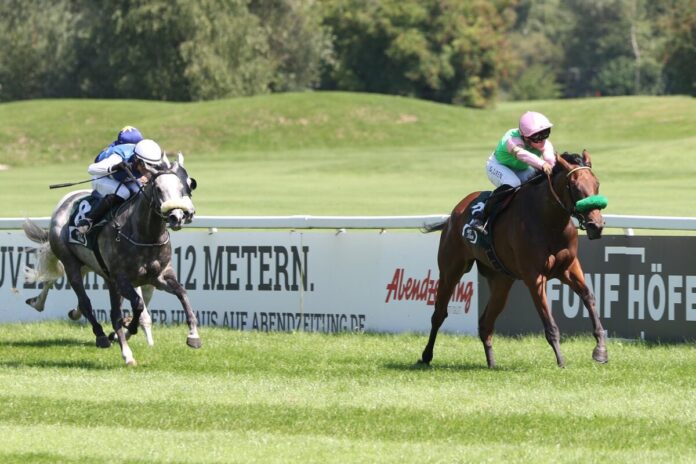 Neyshapur siegt unter Thore Hammer-Hansen