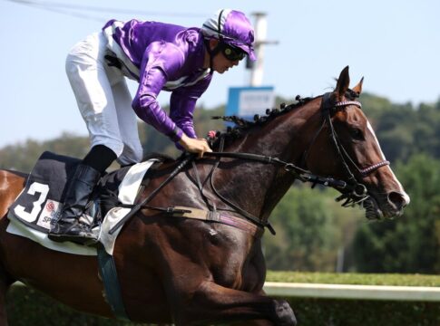 Nicosia siegt unter Pablo Werder