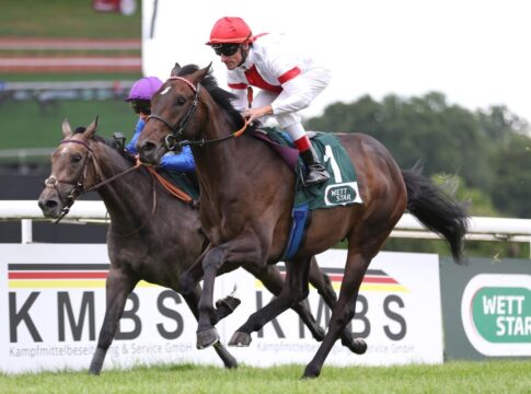 Nitaro siegt unter Andrasch Starke