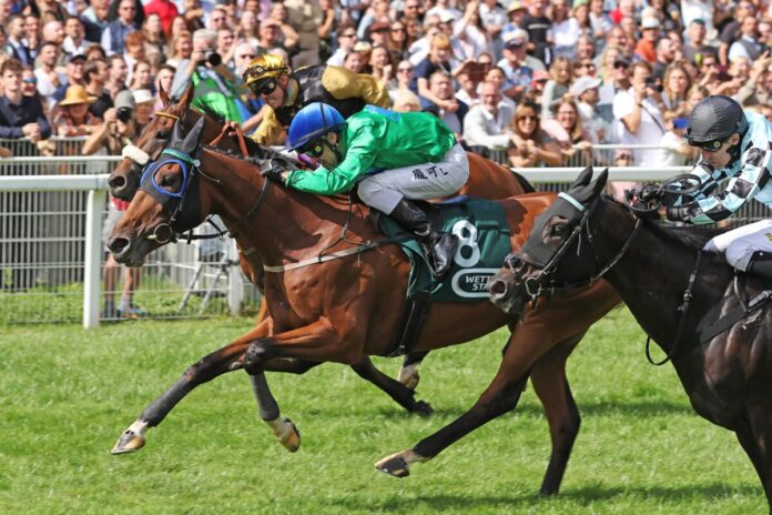 Oui no si siegt unter Rene Piechulek