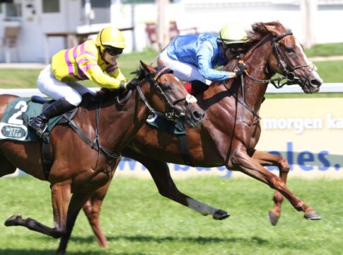 Quijana Starlet siegt unter Rene Piechulek