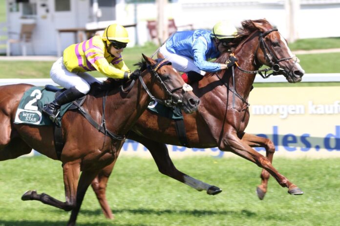 Quijana Starlet siegt unter Rene Piechulek