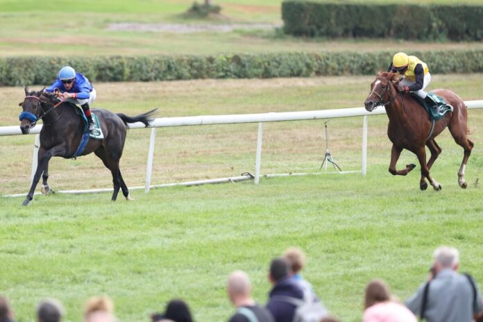 Santa Catarina siegt unter Andrasch Starke