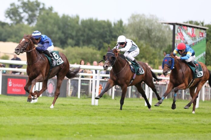 Schützenzauber, Kylian und Zerostress (v.li.)