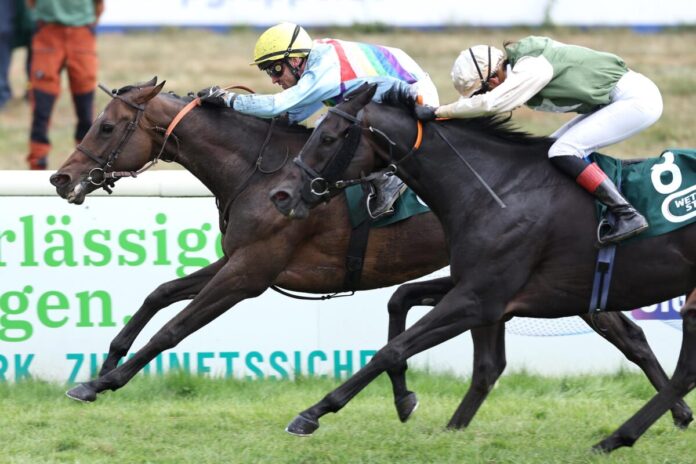 Tramina siegt unter Rene Piechulek