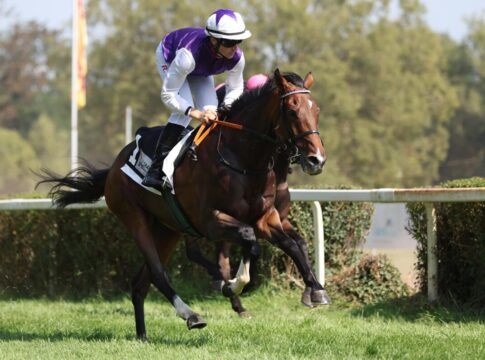 Ageless Lips siegt unter Robin Weber