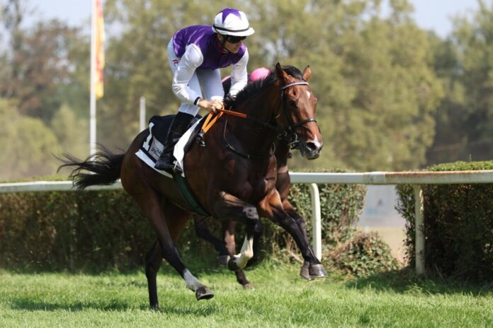 Ageless Lips siegt unter Robin Weber