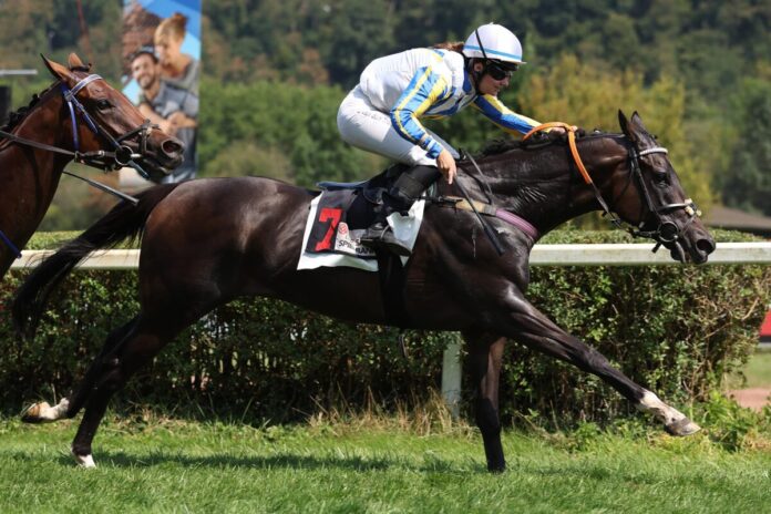 Arika siegt unter Anna van den Troost