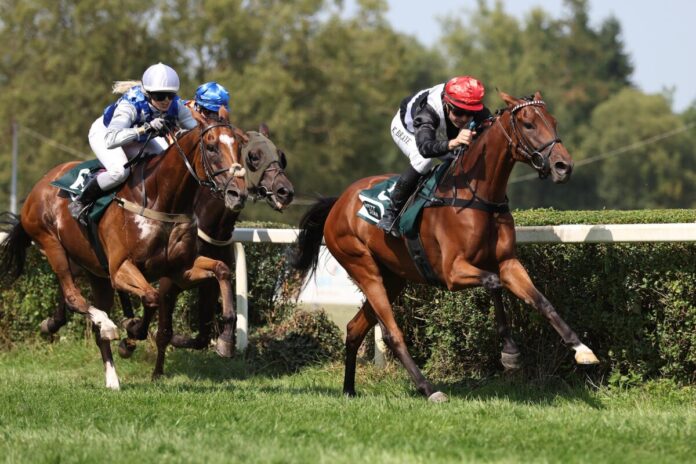 Doro siegt unter Kevin Braye