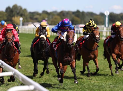 Terratino Fire siegt unter Nina Baltromei